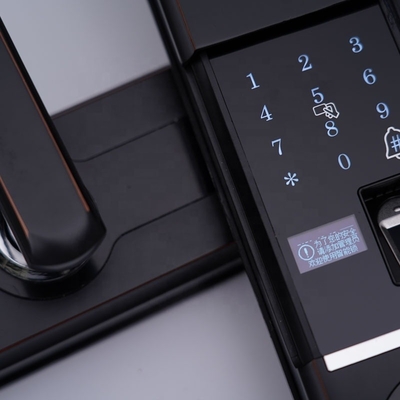 Latest Fingerprint Door Lock/Fingerprint Electronic Smart Door Lock Fingerprint Password/App Model