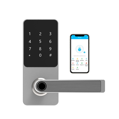 Home/hotel/commercial/apartment/area ect. TTlock WiFi App Fingerprint Door Lock Waterproof Electronic Keyless Digital Smart Lock For Office Home